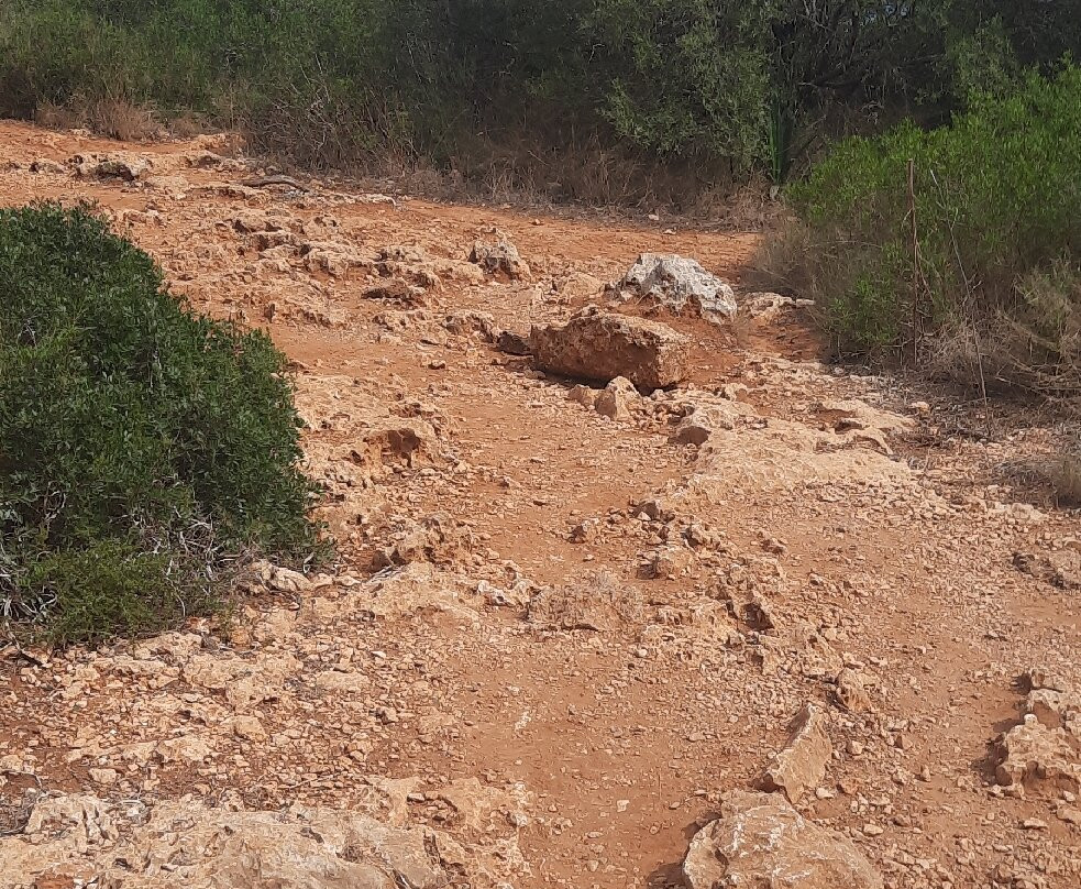 Cala Murta-波连萨必去景点