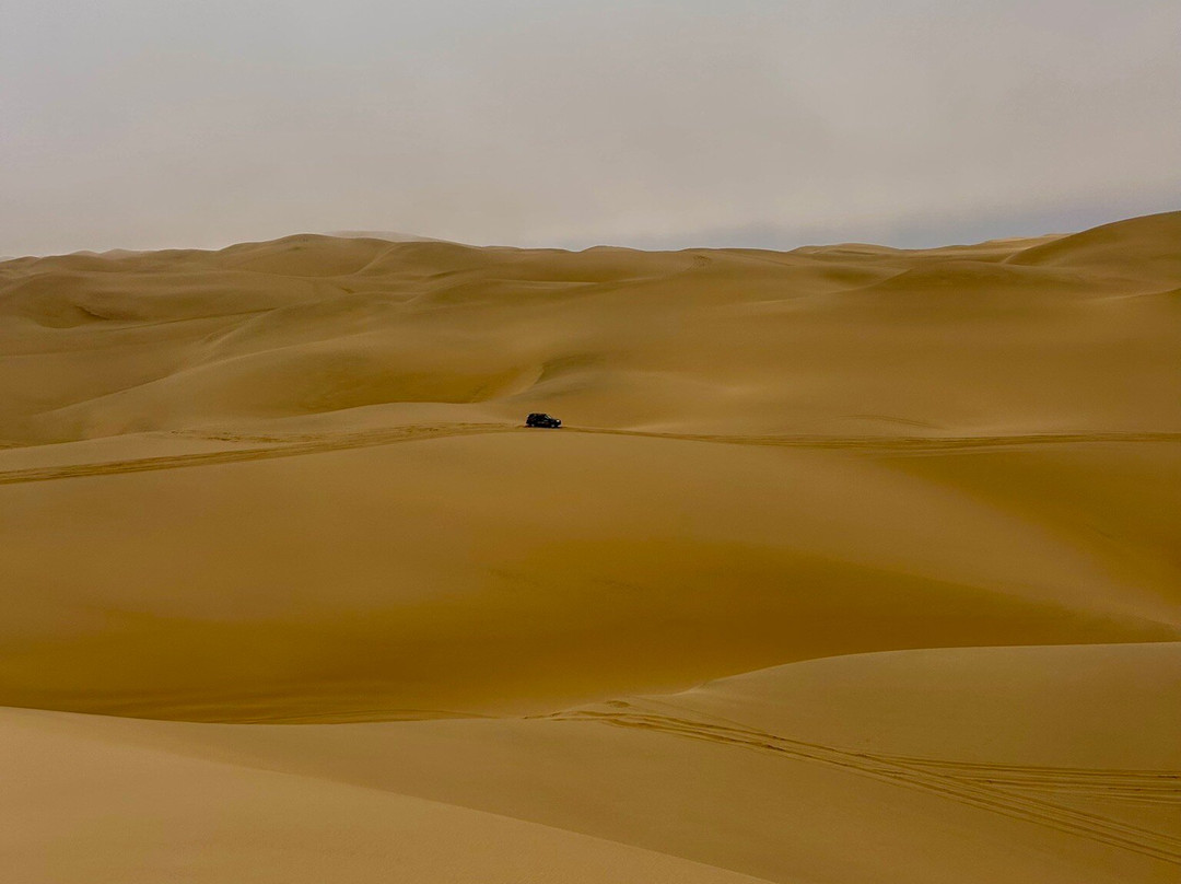 iVenture Sandwich Harbor Tours & Guides-华维斯湾必去景点