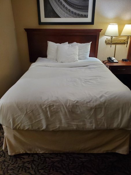 国会广场酒店-杰斐逊市-客卧