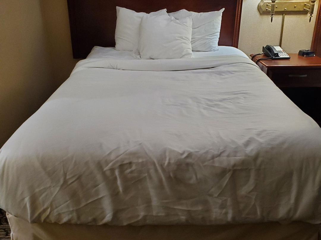 Capitol Plaza Hotel Jefferson City主图