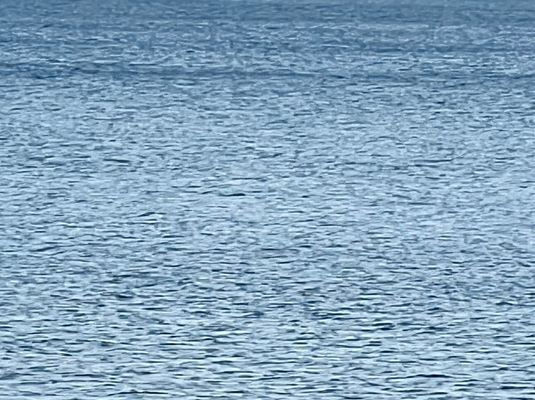 Pointe aux Barques Lighthouse-Port Hope必去景点