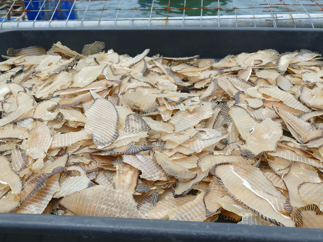 渔村-山打根必去景点