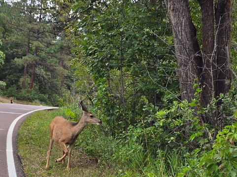 Helen Hunt Falls-科罗拉多斯普林斯必去景点