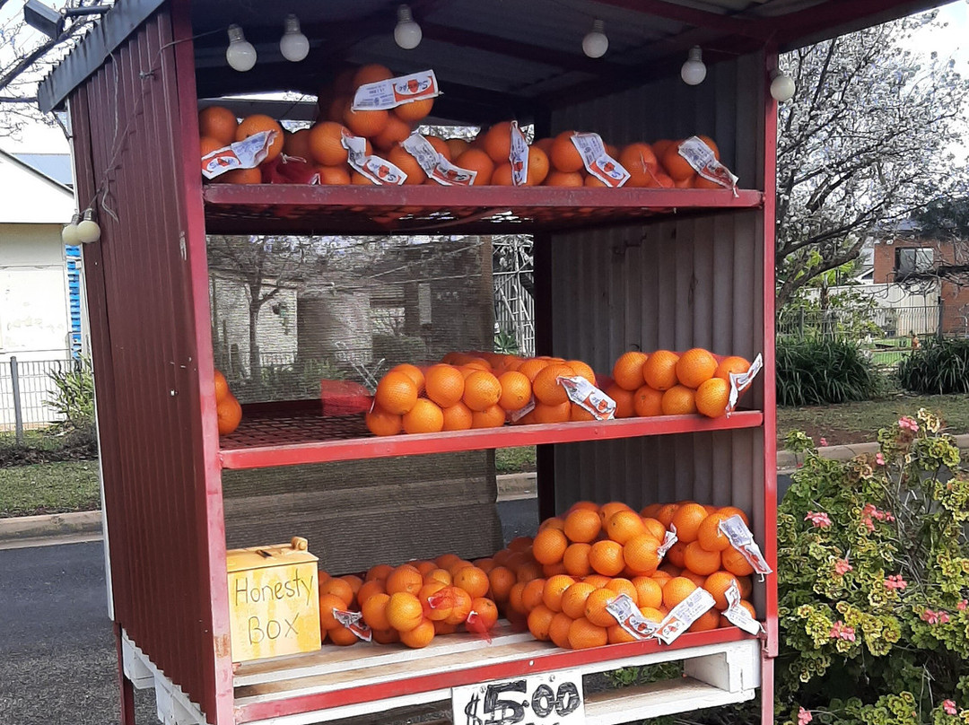 Griffith Tourism Hub-格里菲斯必去景点