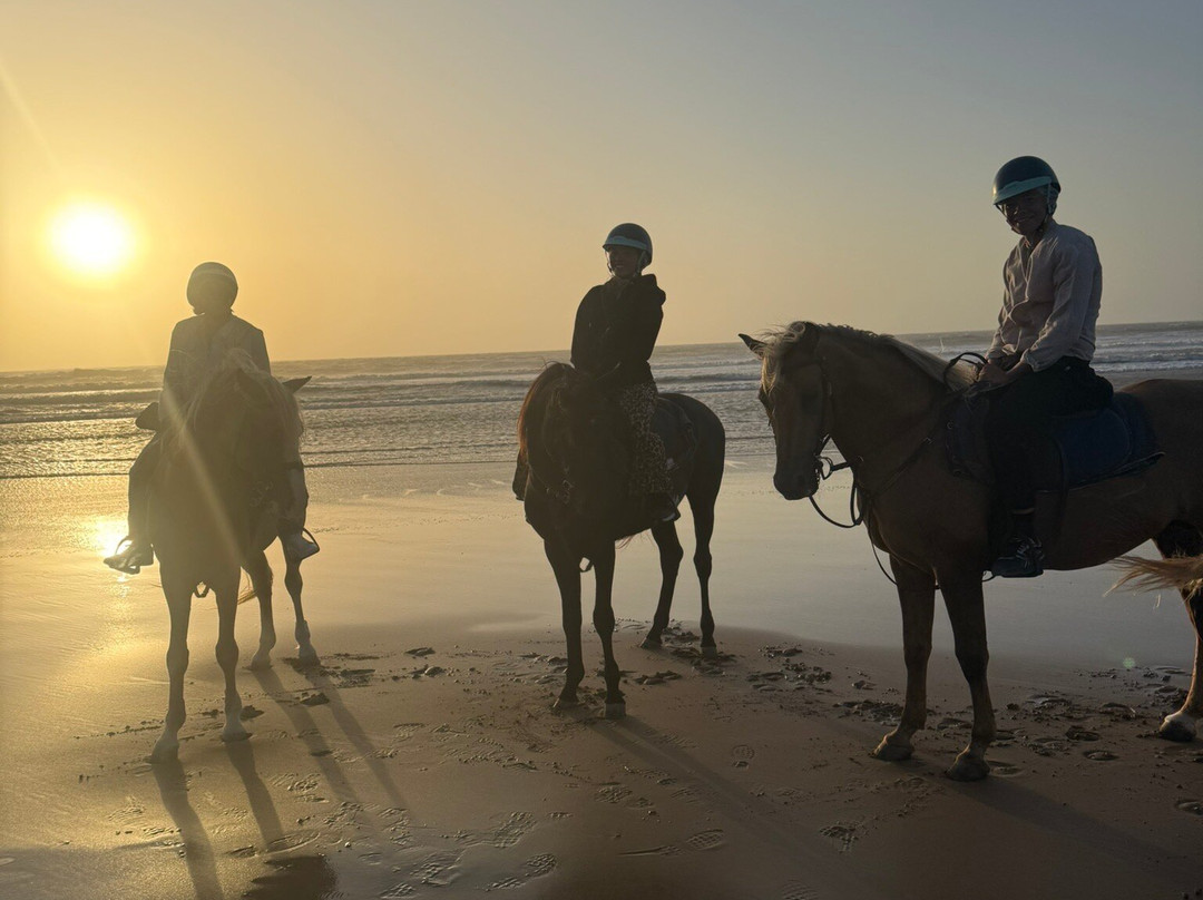Zouina Cheval-索维拉必去景点