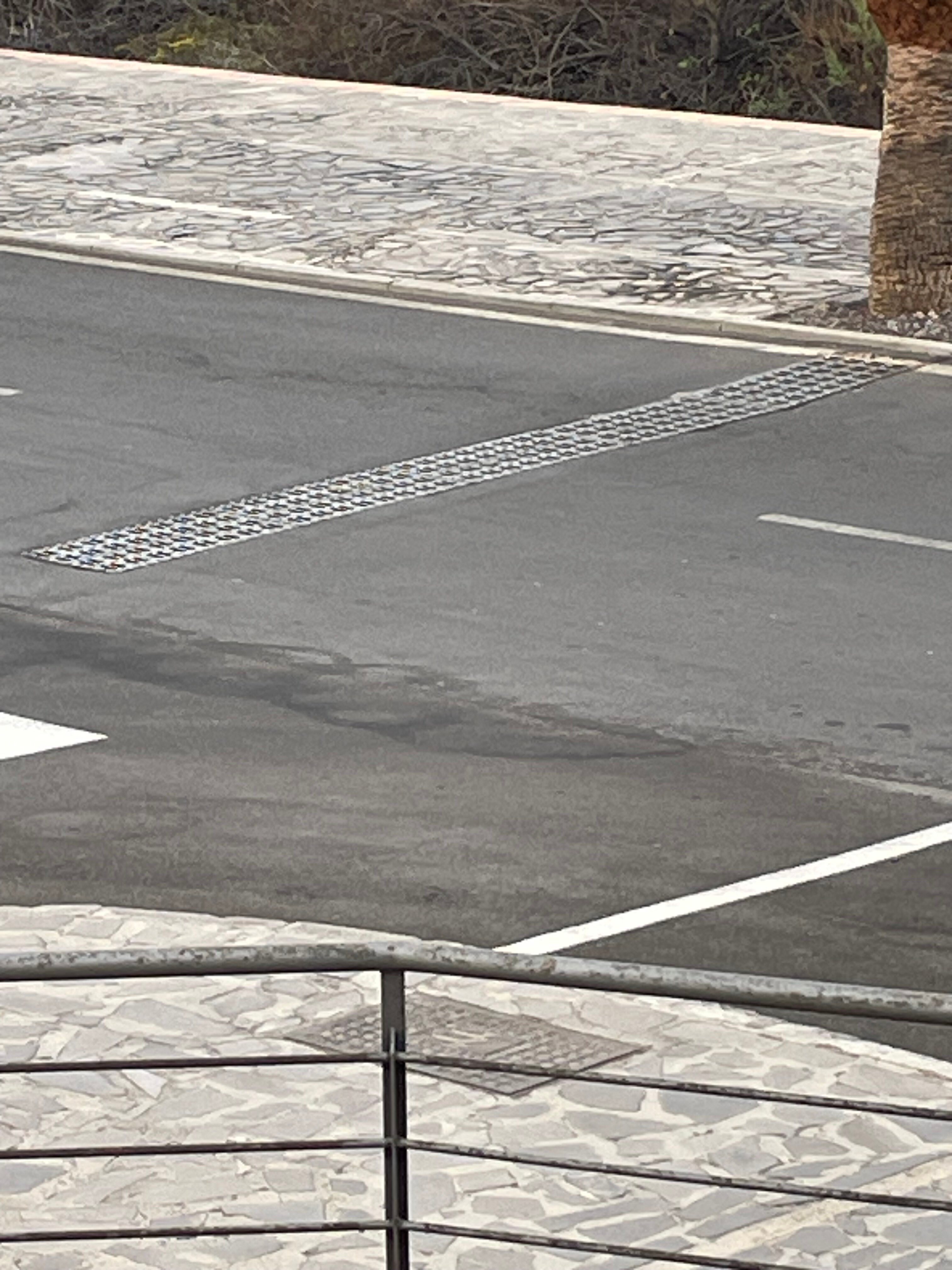 Residencial El Conde-官方