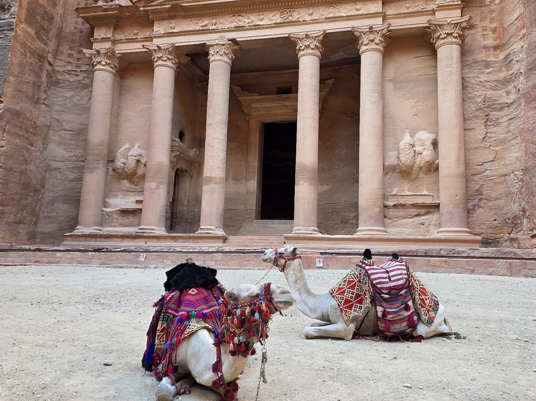 Ammar Best Trips-安曼必去景点