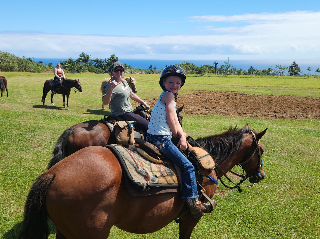 威庇欧岭马厩-夏威夷大岛必去景点