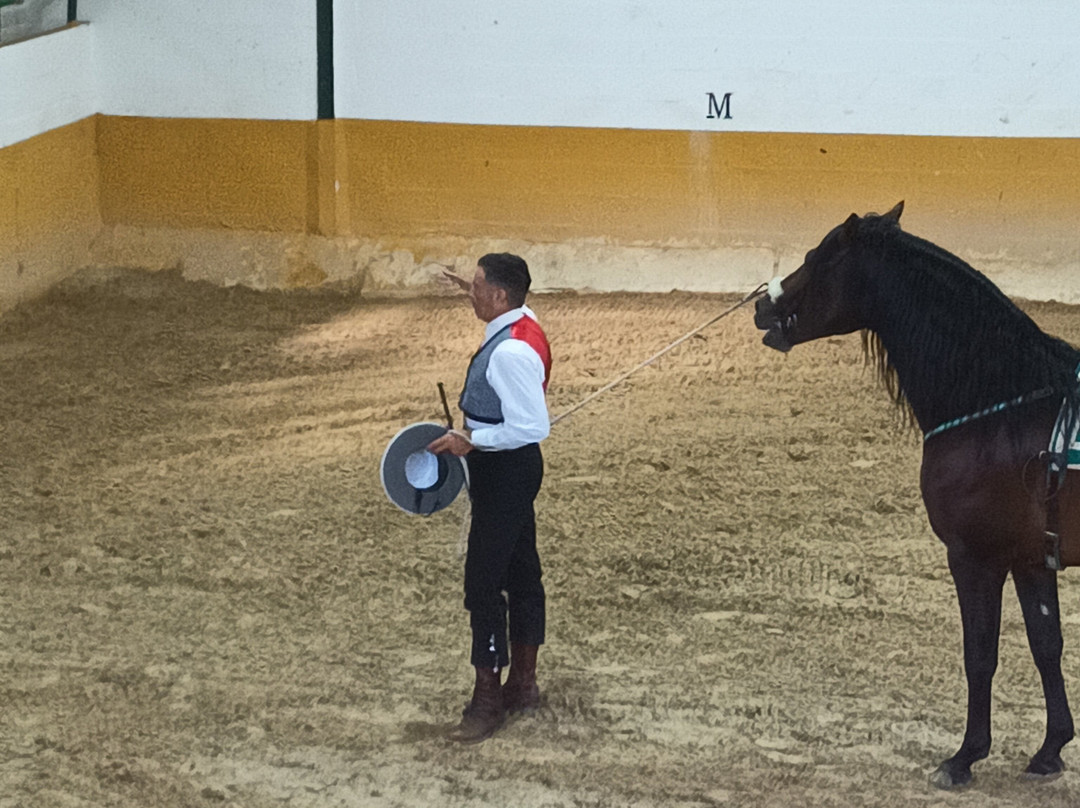 Centro de Equitacion El Ranchito-托雷莫里诺斯必去景点