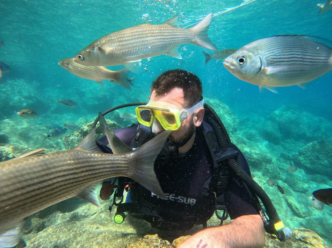 Get Your Guide Turkey-伊斯坦布尔必去景点