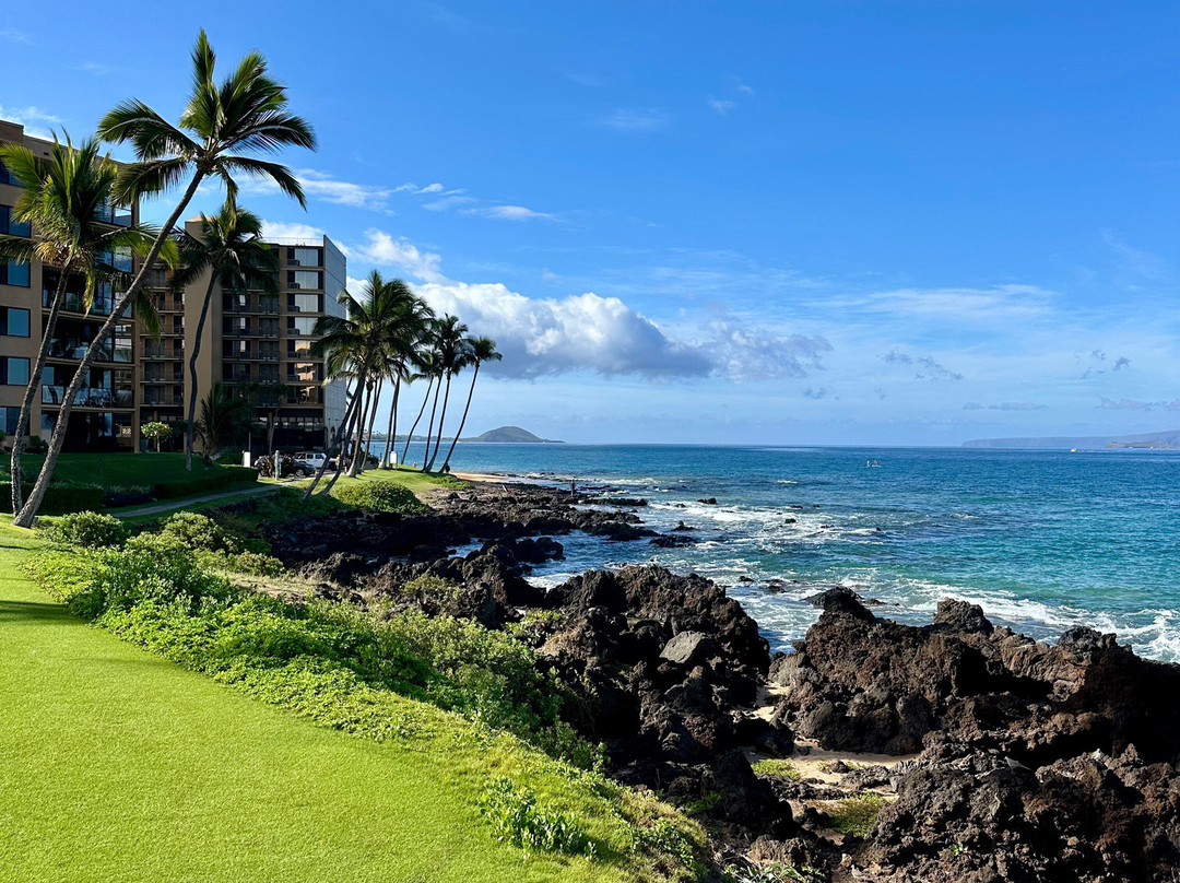 威利亚海滩路-维雷亚必去景点