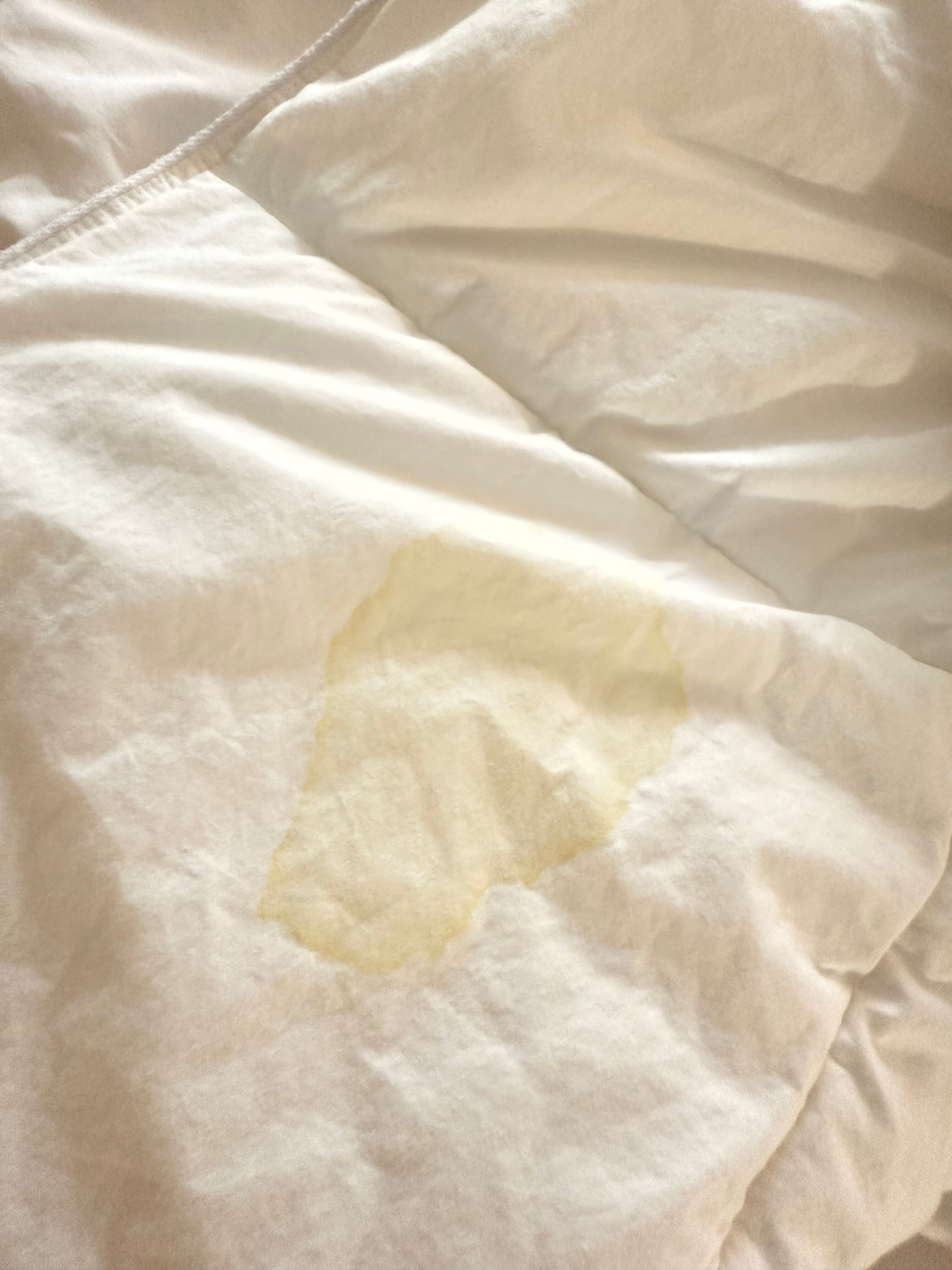 Aloft Framingham-官方