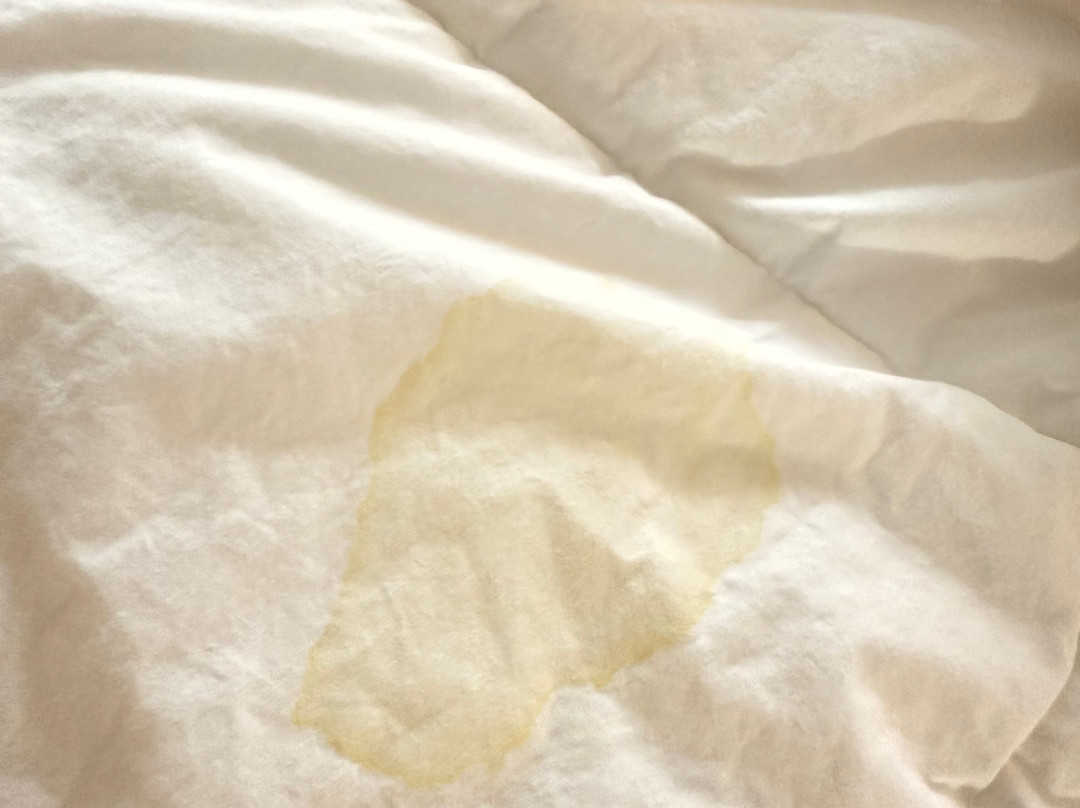 Aloft Framingham主图