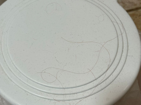 Haughton Hall Hotel Spa-Shifnal必去景点