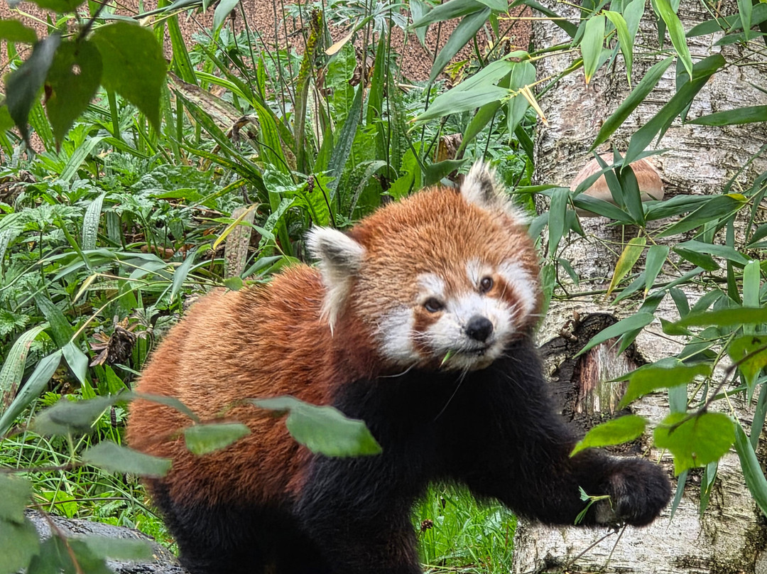 常青食宿酒店主图