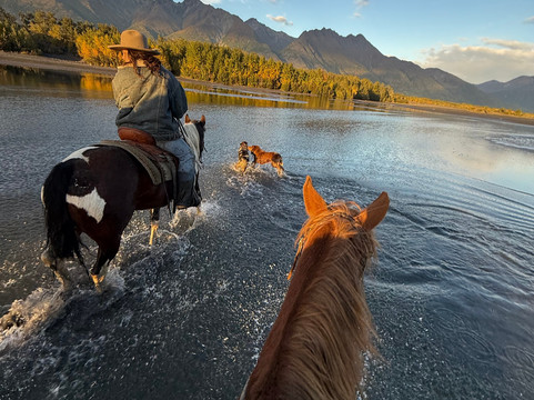 Alaska Horse Adventures-帕尔默必去景点