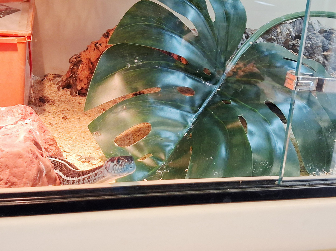 Really Wild Planet-比迪福德必去景点