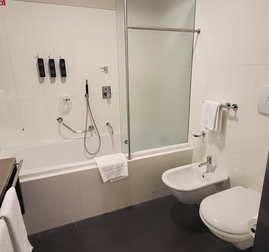 福鹏伯尔扎诺伯泽喜来登酒店主图