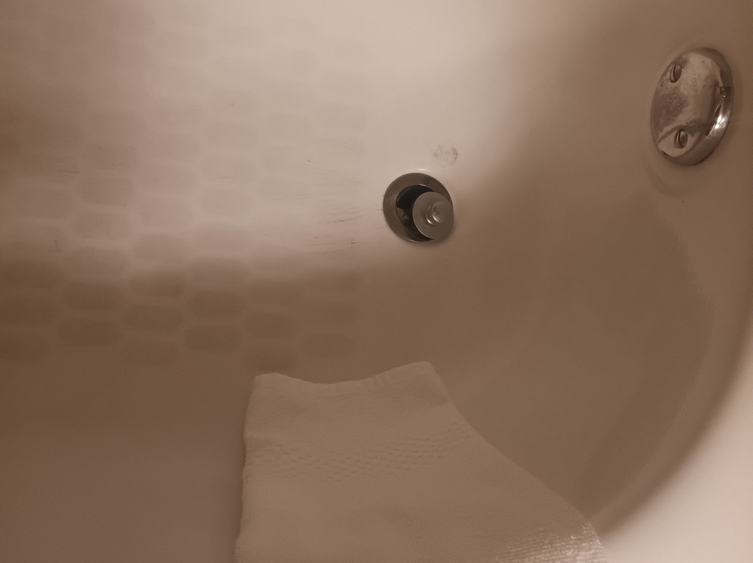 兰辛舒适旅馆主图