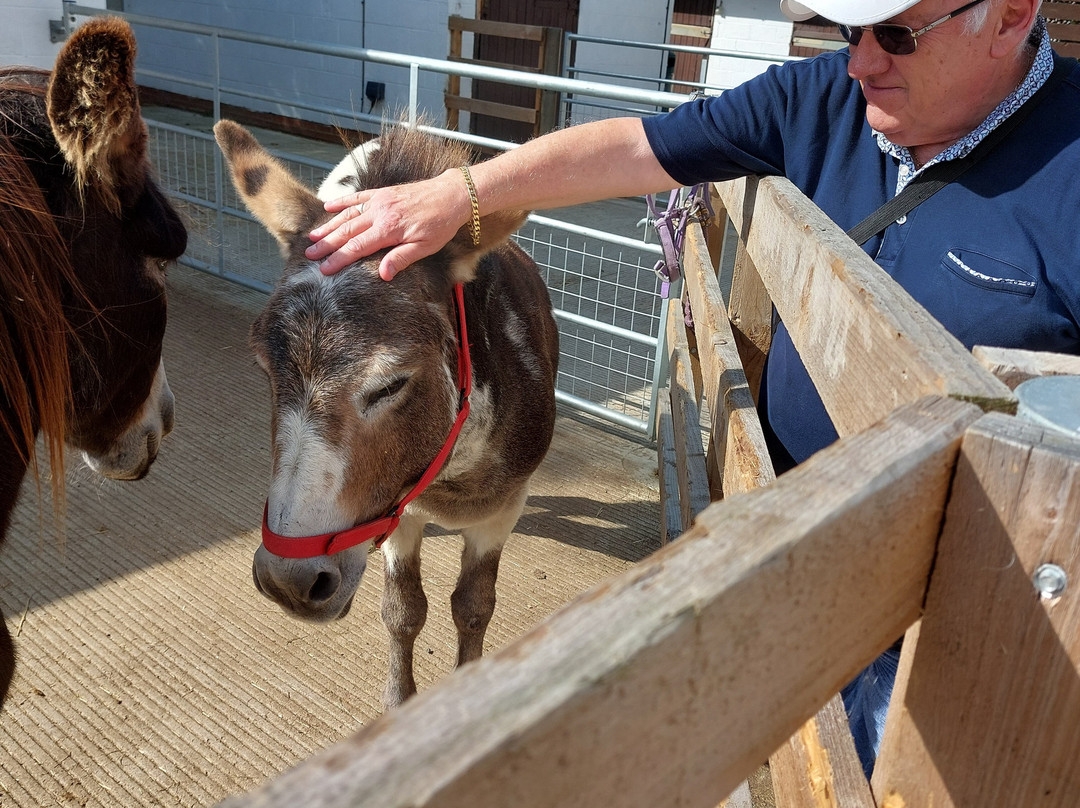 Redwings Horse Sanctuary-Oxhill必去景点