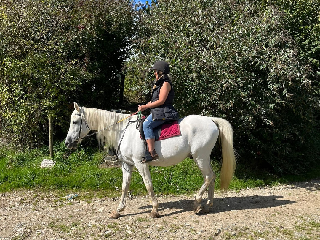 Polmartin Riding Equestrian Site-利斯卡德必去景点
