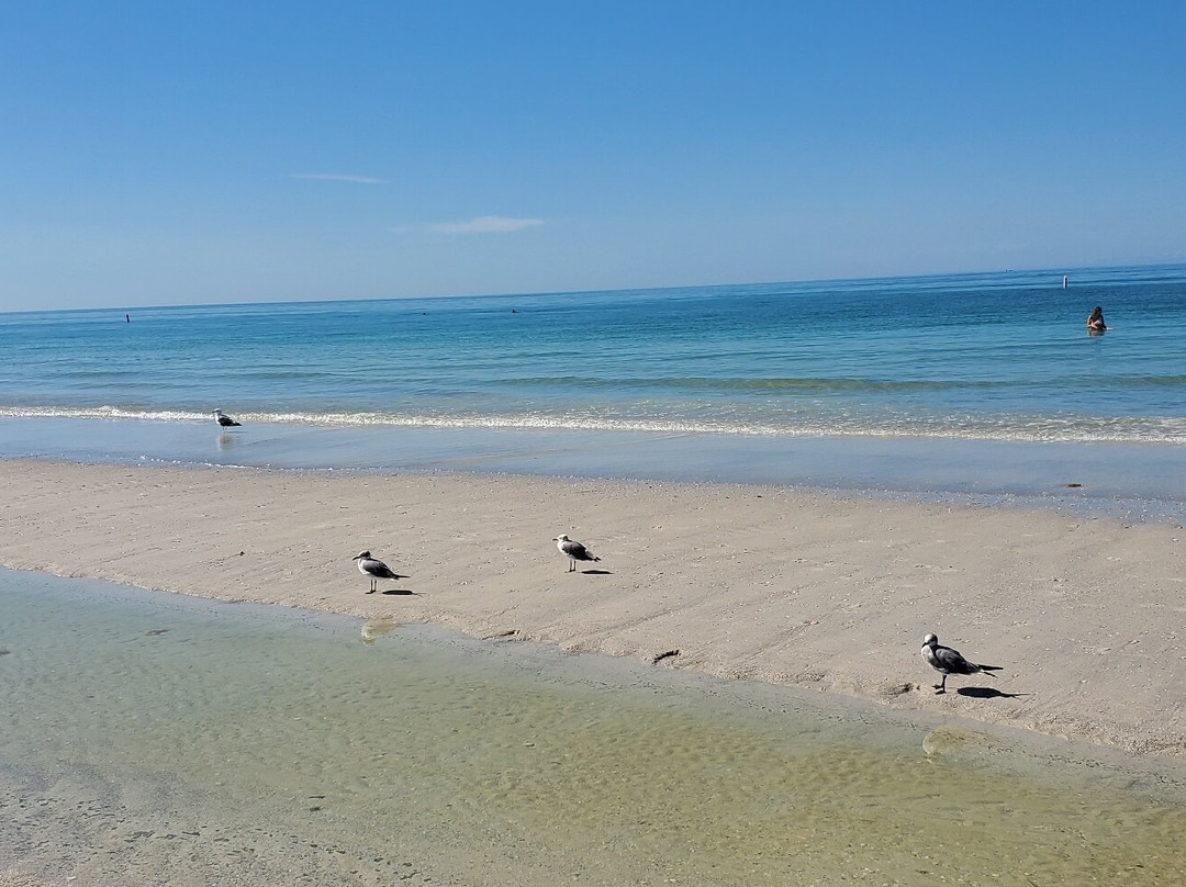 Treasure Island Waterslide and Cabanas-特雷热岛必去景点