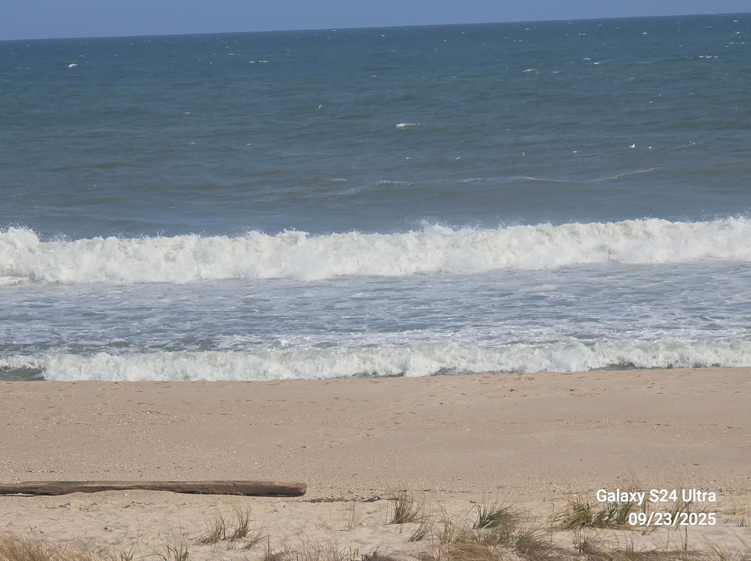 Driftwood Motel主图