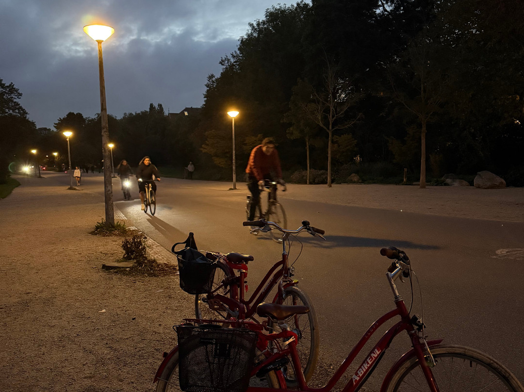 A-Bike Rental & Tours - Central Station-阿姆斯特丹必去景点