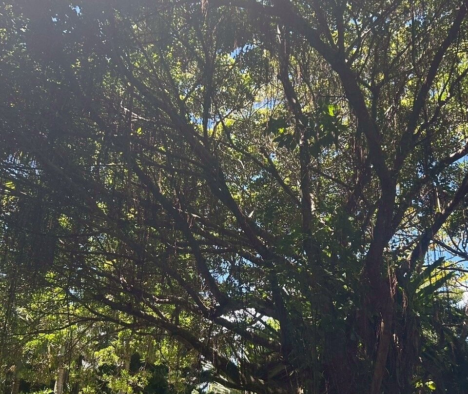 Manta no Hama-竹富町由布岛必去景点