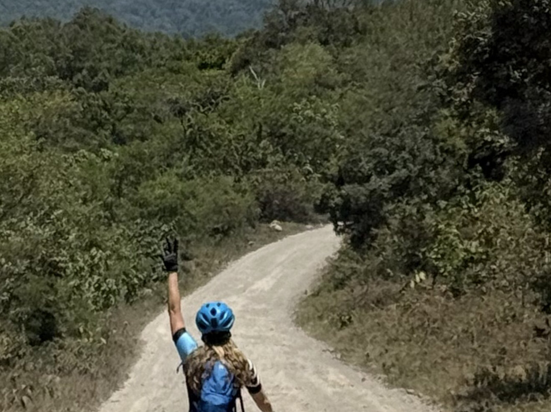 One Bike Tanzania-莫西必去景点