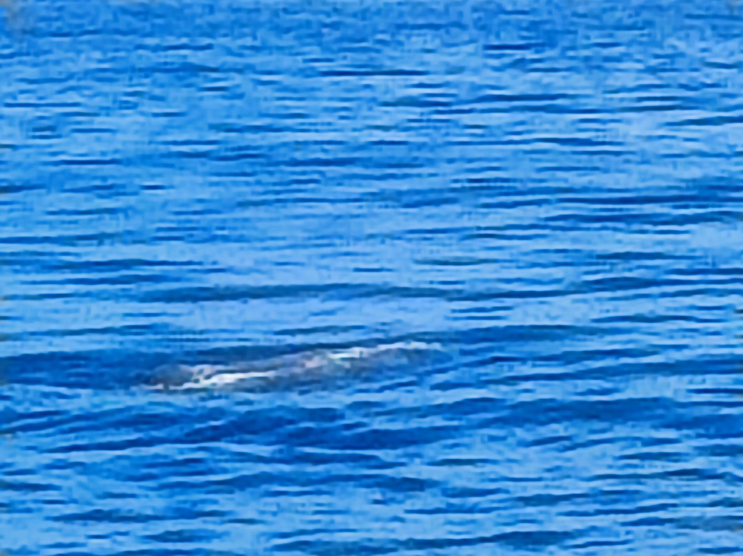 Picos de Aventura-蓬塔德尔加达必去景点