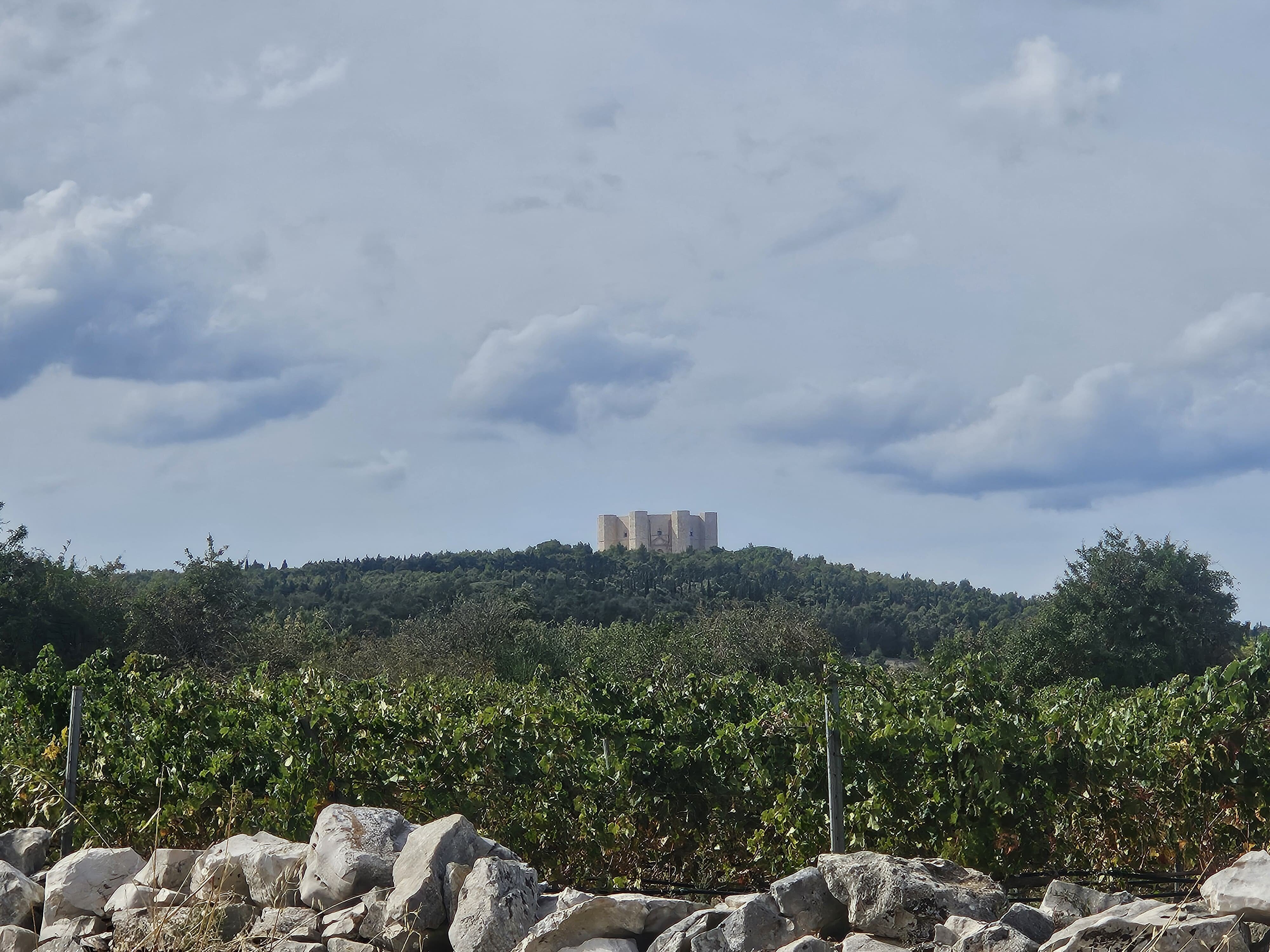 假日公寓酒店-官方