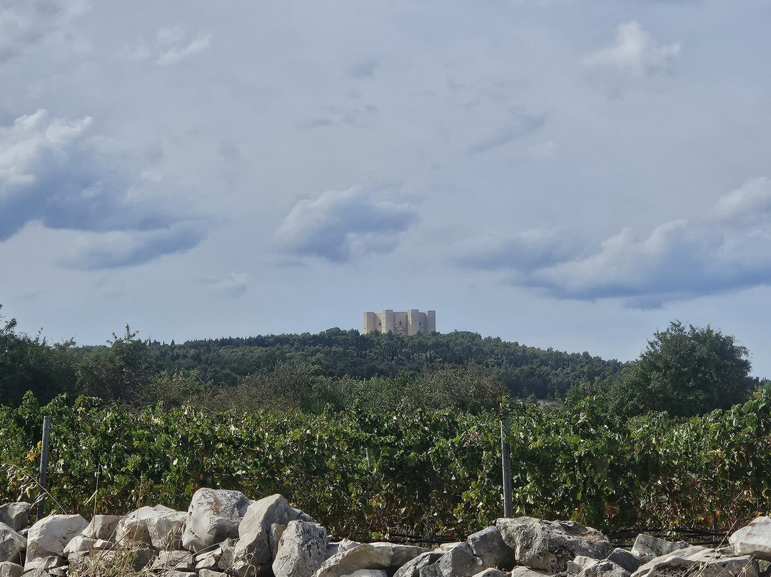 假日公寓酒店主图