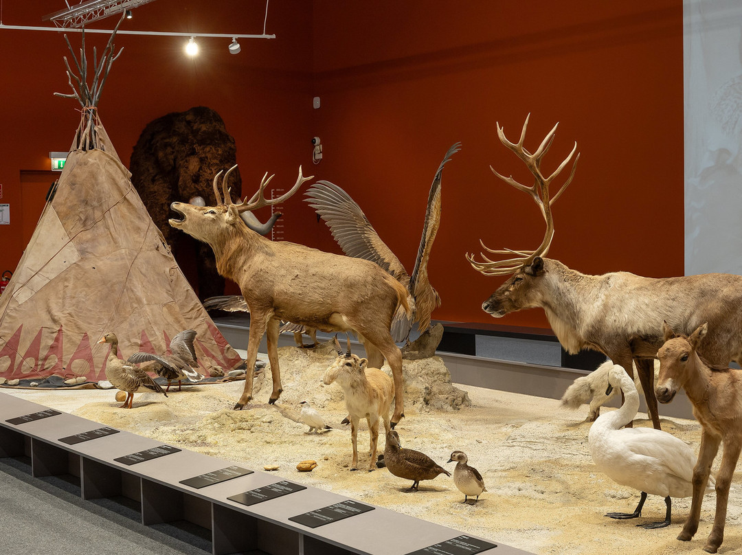 MAMUZ Museum Mistelbach-Mistelbach必去景点