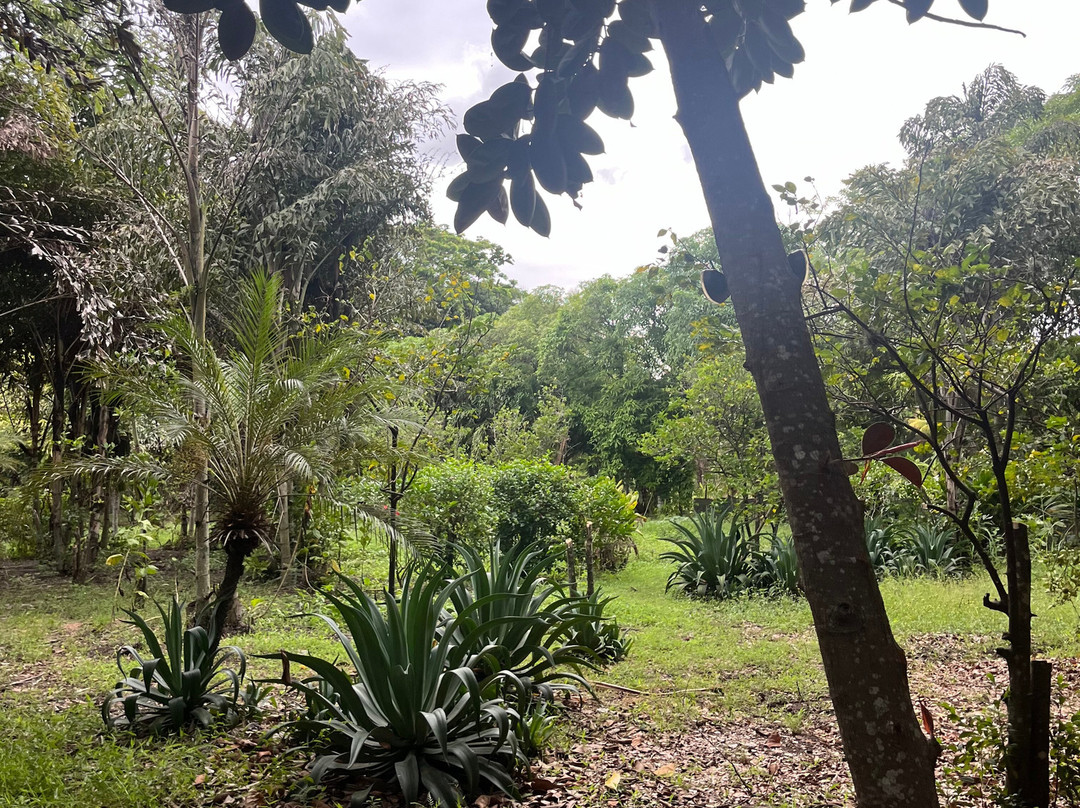 Zemis Tobacco and Cigars Factory-圣地亚哥必去景点