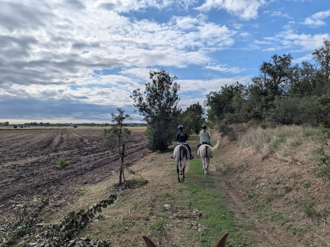 Cal Robusto Turisme Eqüestre-休拉纳必去景点