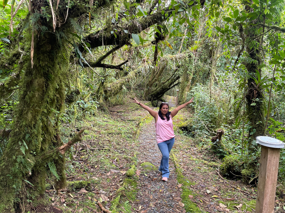 Podocarpus National Park-Zamora必去景点