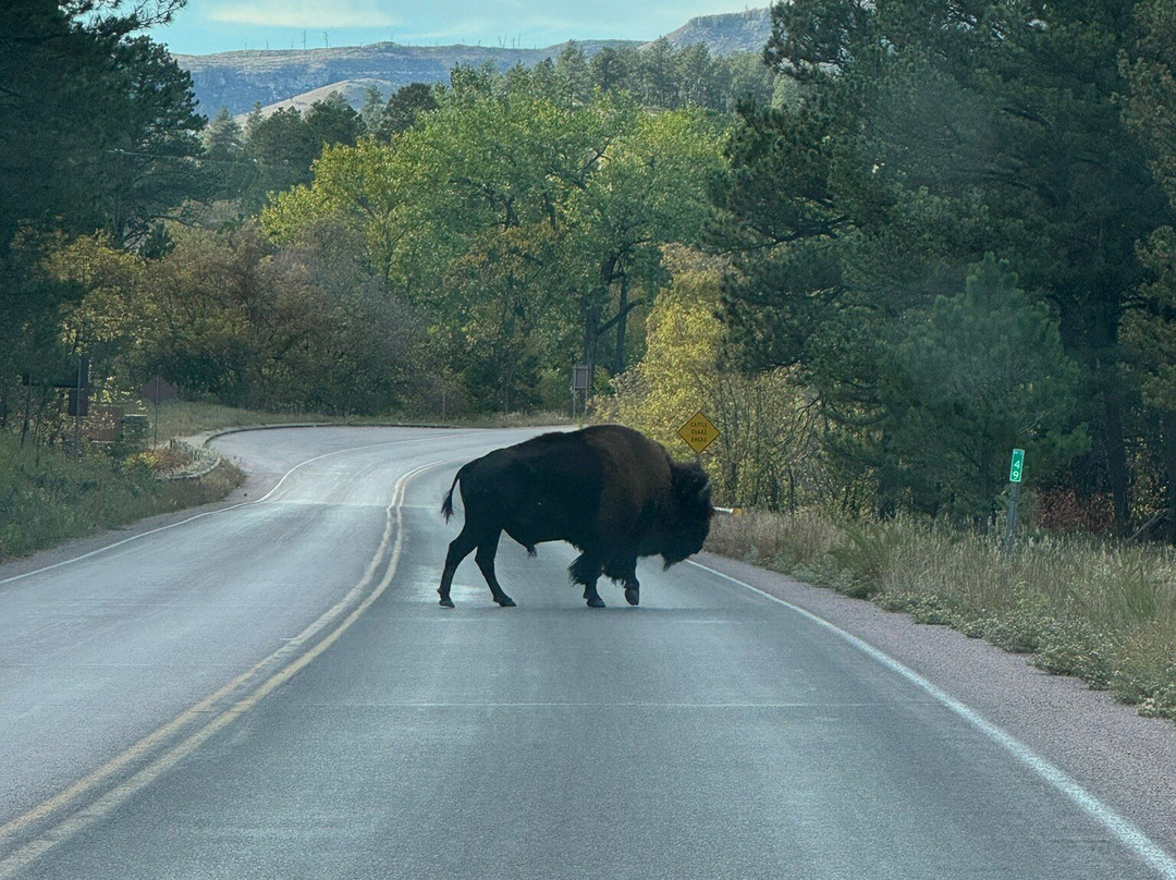 Wind Cave National Park-Wind Cave National Park必去景点