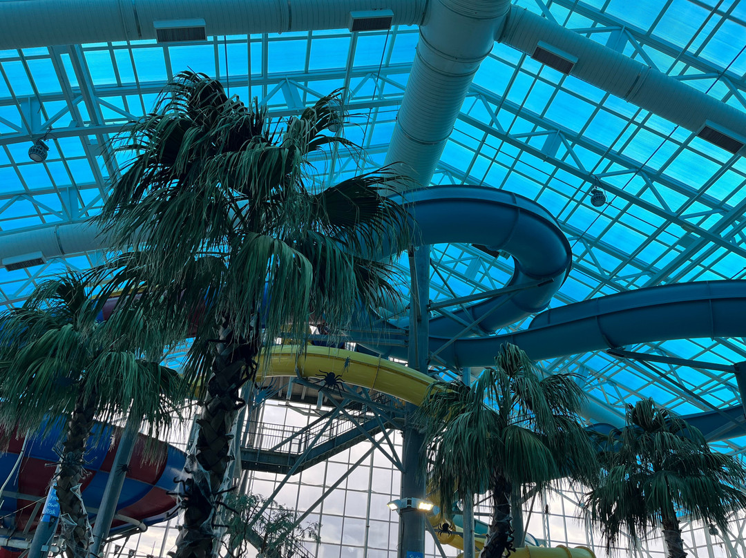 La Quinta Inn and Suites by Wyndham at Watiki Waterpark主图