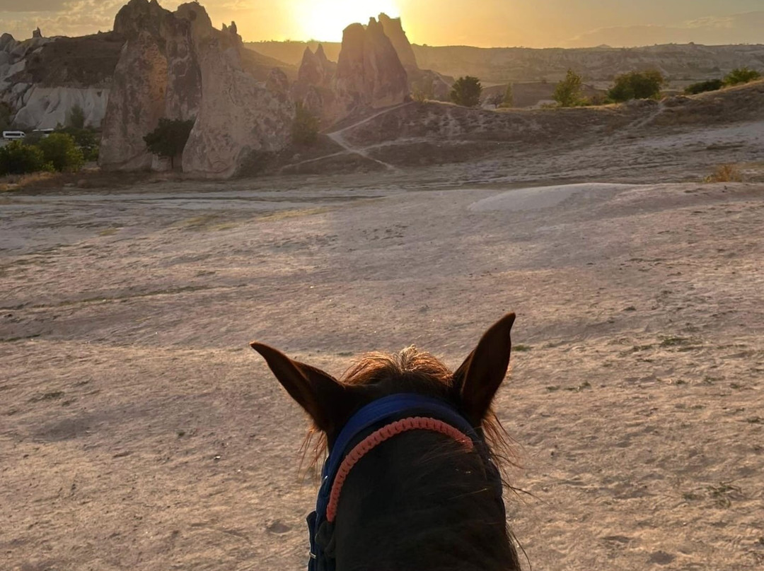 Moonlight Horse Ranch-格雷梅必去景点