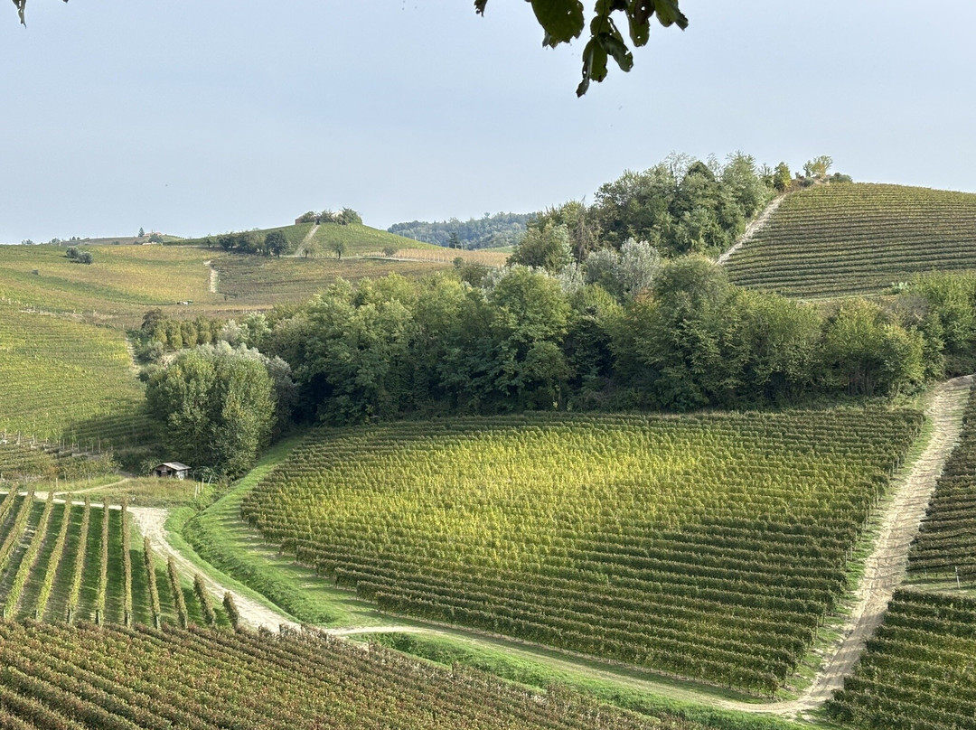 Piedmont Food and Wine-Vinchio必去景点