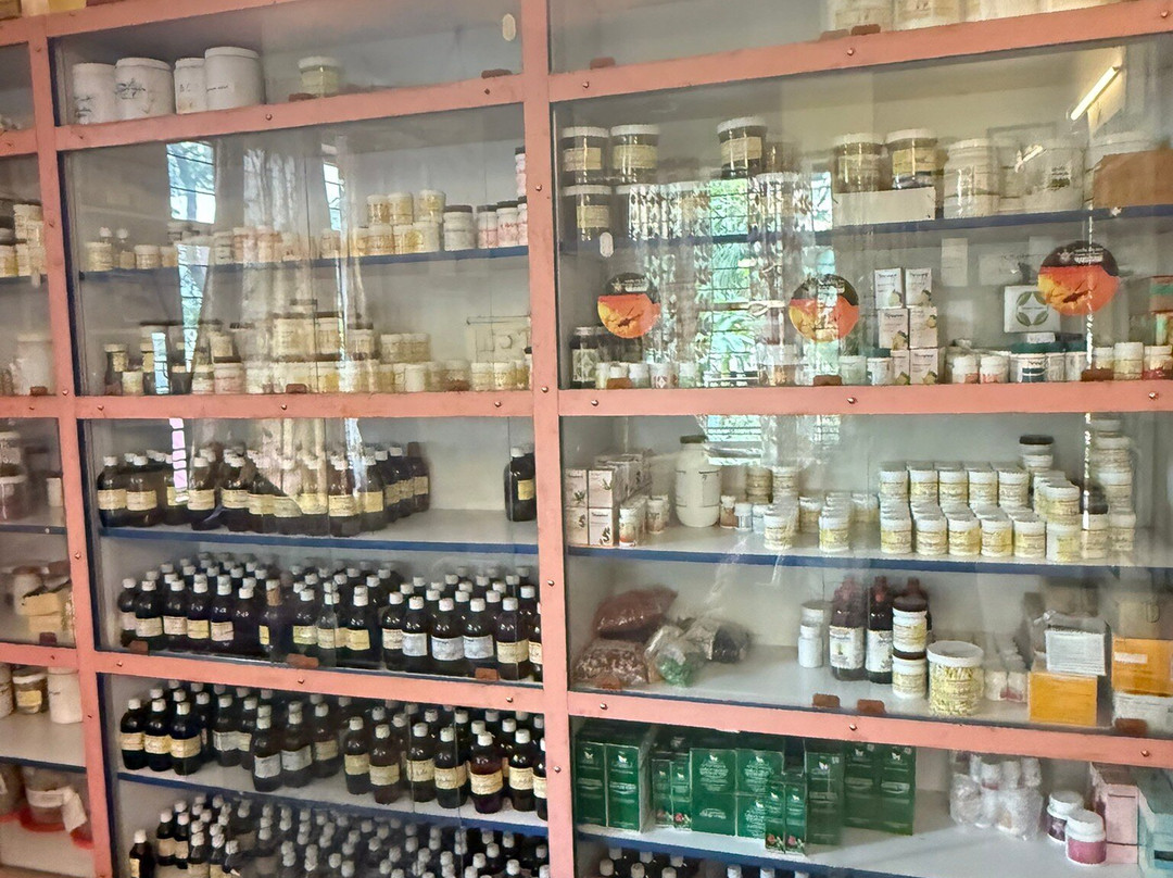 Maa Yoga Ashram-Tapovan必去景点