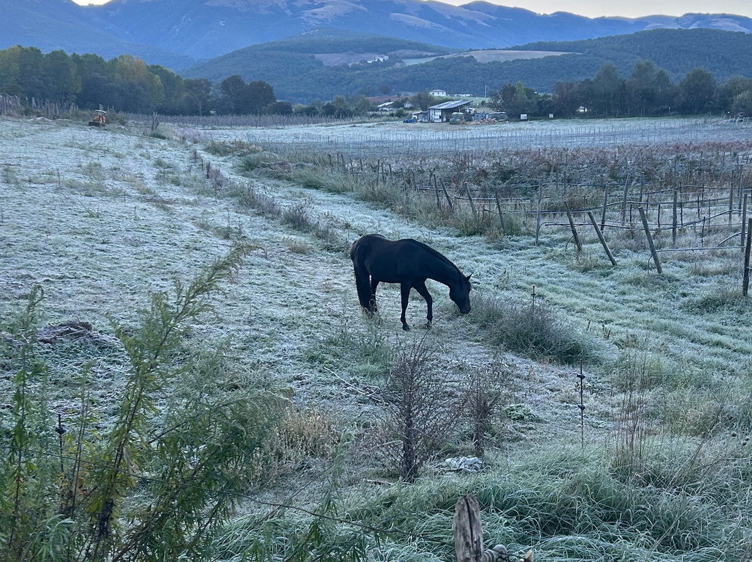 Il Casale San Martino主图