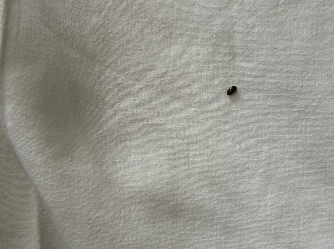 Mavi Tuana Hotel主图