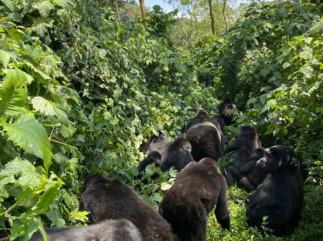 Rays Safaris-恩德培必去景点
