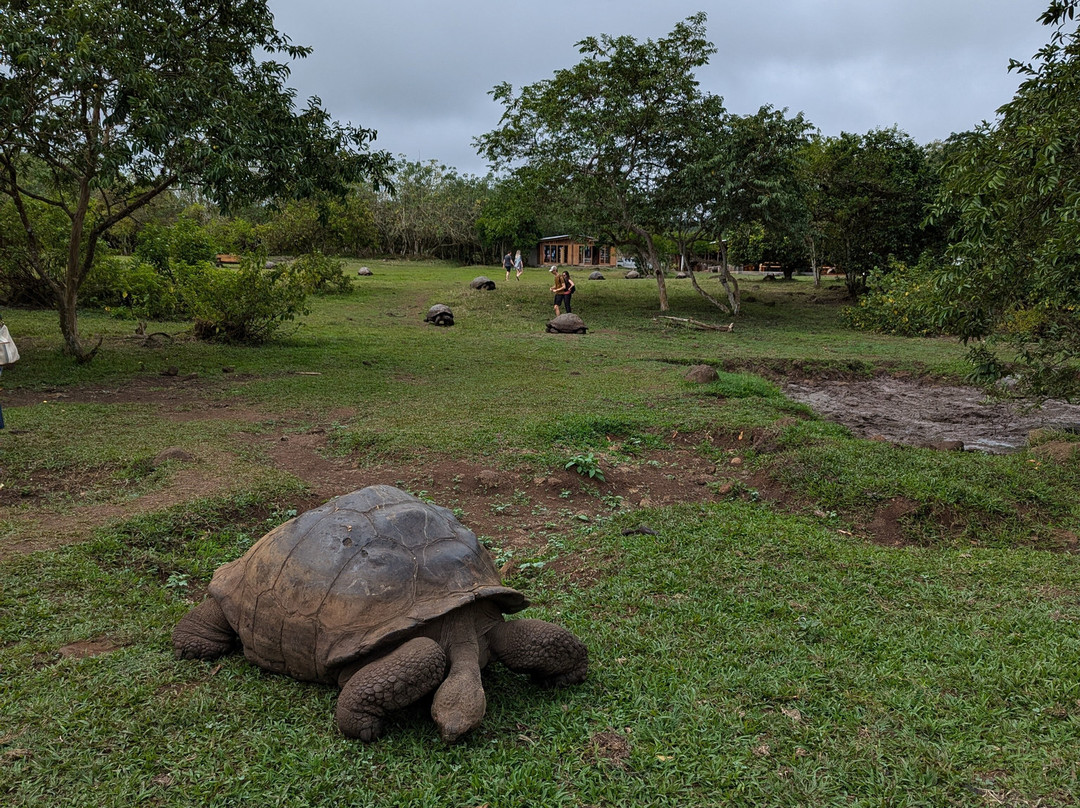 Rancho Primicias-圣克鲁斯必去景点