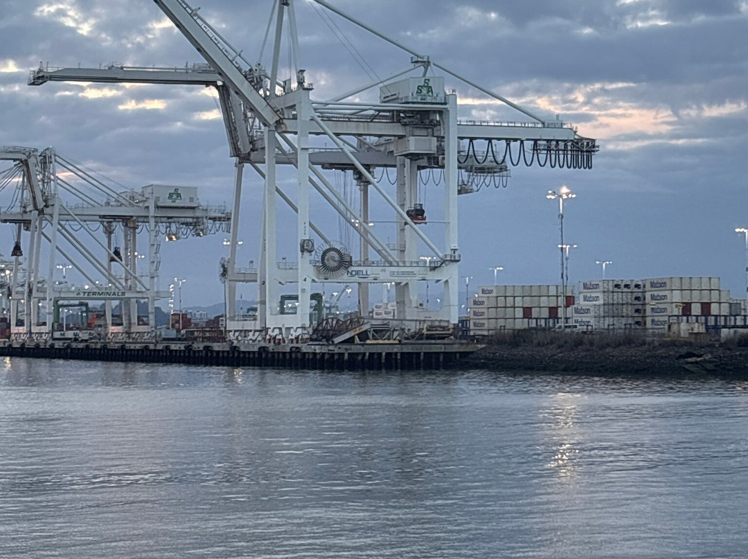 Port View Park-奥克兰必去景点