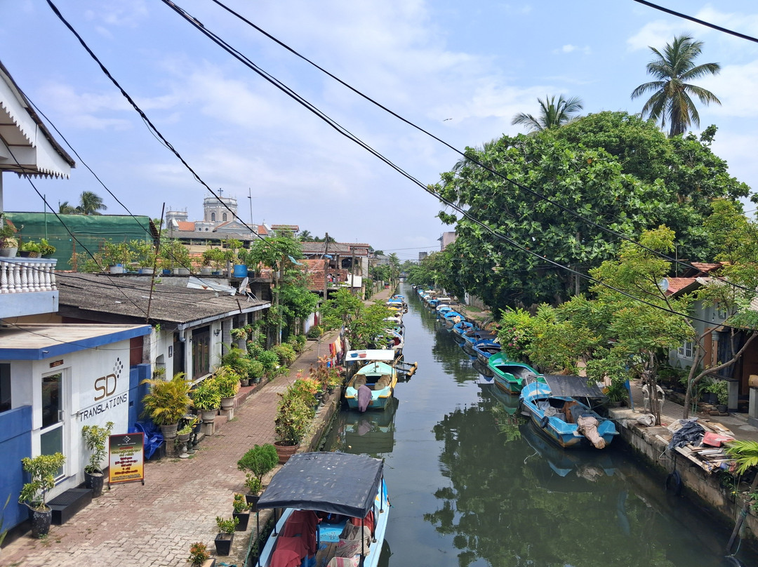 See Lanka Travels-Waikkal必去景点