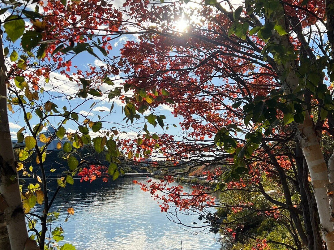 Bell Park Walkway / Boardwalk-Sudbury必去景点