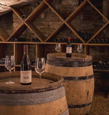 ALFRED HOTELS - Beaune